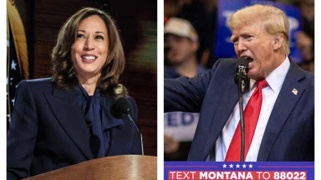 Image de l'article intitulé Kamala Harris est peut-être en tête des sondages face à Trump, mais voici pourquoi ses partisans devraient être nerveux