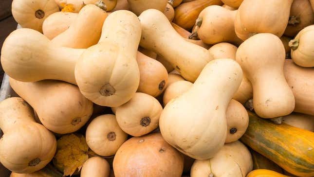 butternut squash