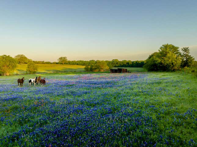 Image for article titled The 5 best states in America for retirees — and the 5 worst