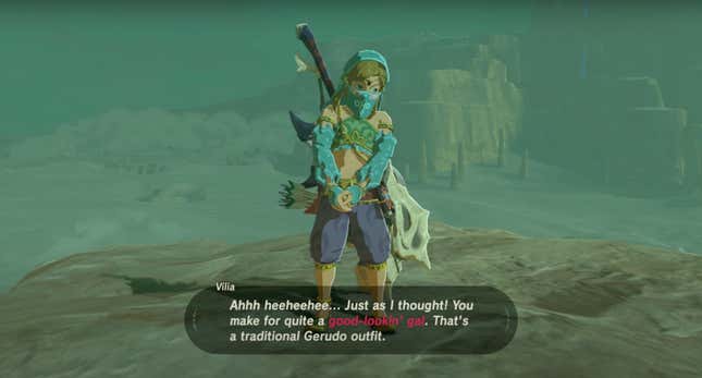 A Link Between Genders: Trans Joy and the Legend of Zelda