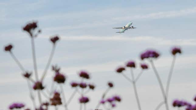 A plane takes off from Lanzhou Zhongchuan International Airport