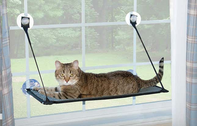 K&amp;H EZ Mount Cat Perch |$13 | Amazon, Chewy