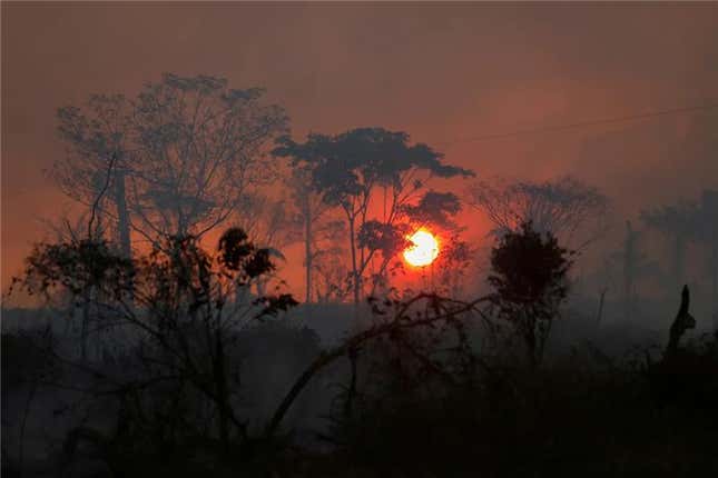 A view shows a deforested plot of Brazilian Amazon rainforest near the Transamazonica national highway, in Apui, Amazonas state, Brazil