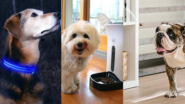 Image for article titled Six Great Smart Devices For Your Furry Friend