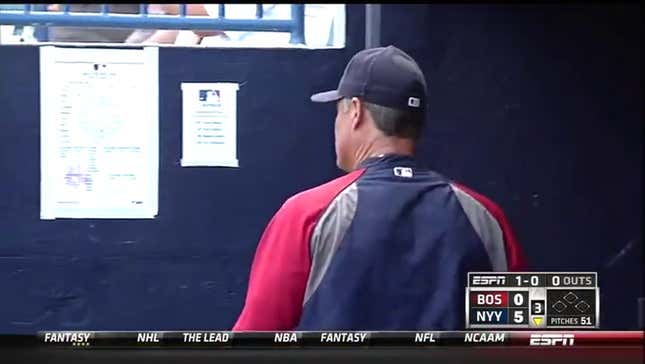 Bees Invade Red Sox-Yankees Game; America Roots For Bees