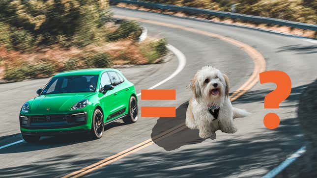 Image for article titled What&#39;s The Best Car-Related Pet Name?