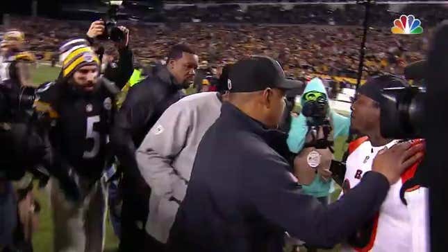 Mike Tomlin, Reggie Nelson Have Lively Discussion After Bengals-Steelers