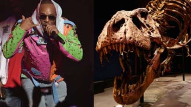 Paleontology is a Scam, According to Cam'ron! [UPDATED]