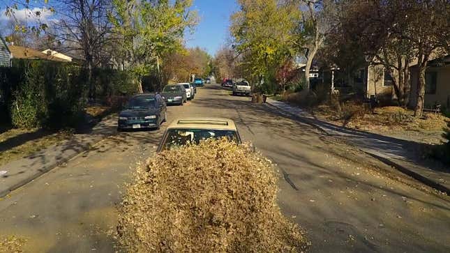 No One Can Leave A Big Pile Of Leaves Alone—Not Even Mercedes Drivers