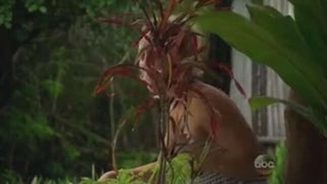 <em>Bachelor</em> Contestant Edited to Look like She's Talking to a Raccoon