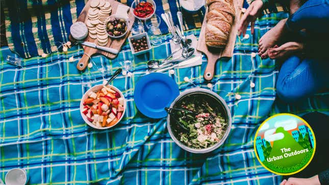 Image for article titled What&#39;s the Best Picnic Blanket?