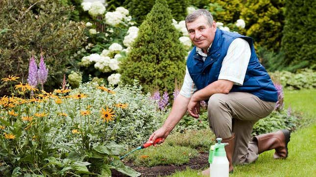 Image for article titled New Hobby To Tide Retired Man Over Until Death