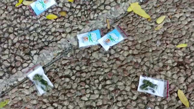 Weed on the ground in Tel Aviv after a drone promoting a delivery service dropped bags of marijuana in and around 