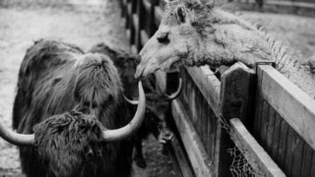 Your Worst Neighbor Story