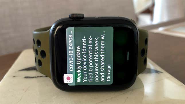 Image for article titled Hey, Apple Watch, Please Don&#39;t Send Me Heart-Stopping Notifications That I Wasn&#39;t Exposed to Covid-19