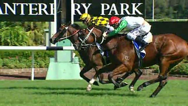Bare-Assed Jockey Defeats Modesty