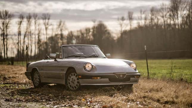 Nice Price or No Dice 1987 Alfa Romeo Spider Quadrifoglio