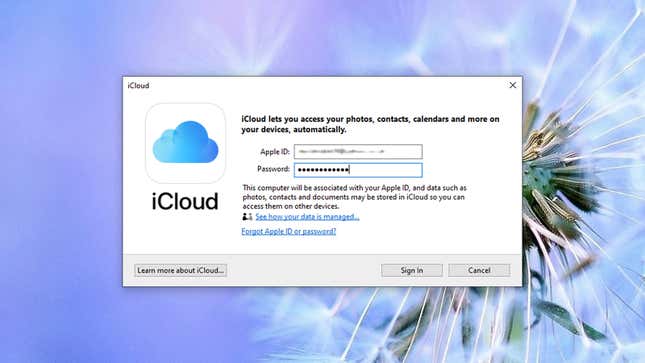 Image for article titled How to Sync All of Your iCloud Passwords and Data to Windows