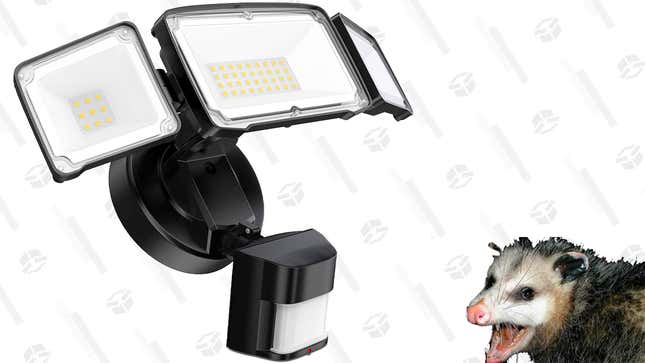 Freelicht 40W LED Flood Light | $21 | Amazon | Clip Coupon