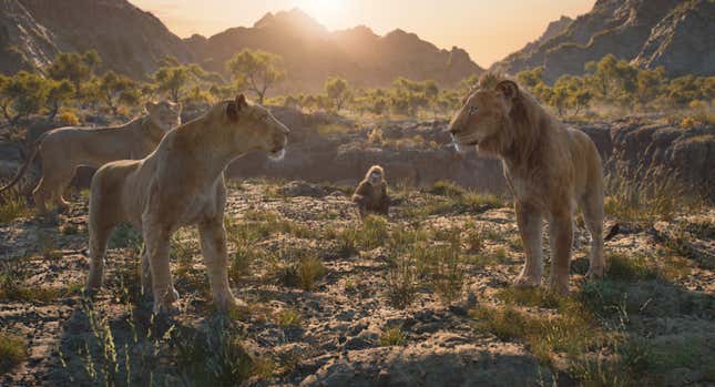 (LR): Taka (gesprochen von Kelvin Harrison Jr.), Sarabi (gesprochen von Tiffany Boone), Rafiki (gesprochen von Kagiso Lediga) und Mufasa  (gesprochen von Aaron Pierre) in Disneys Realverfilmung MUFASA: DER KÖNIG DER LÖWEN.