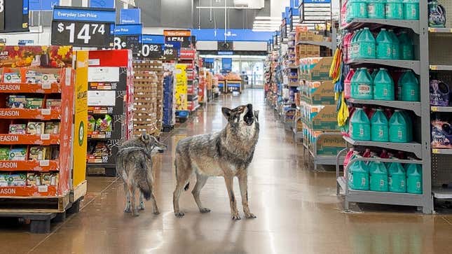 Walmart News: The Latest Viral News From the Retailer