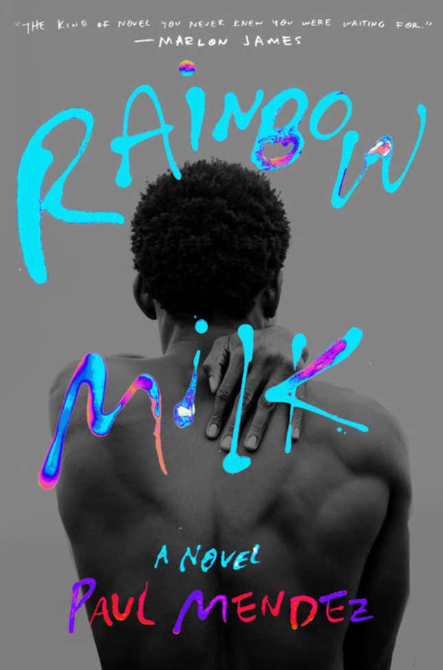 Rainbow Milk: A Novel – Paul Mendez