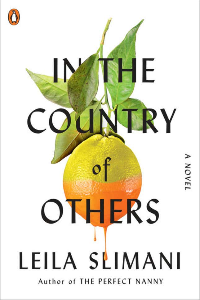 In the Country of Others: A Novel – Leila Slimani