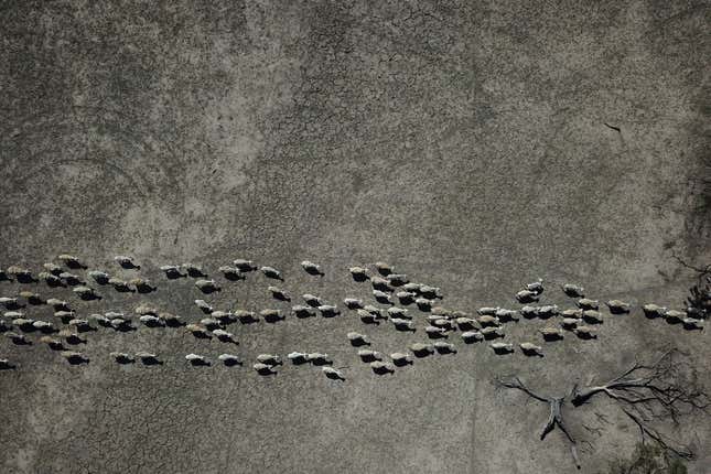 Image for article titled Photos: Aerial shots showcase Australia’s brutal drought