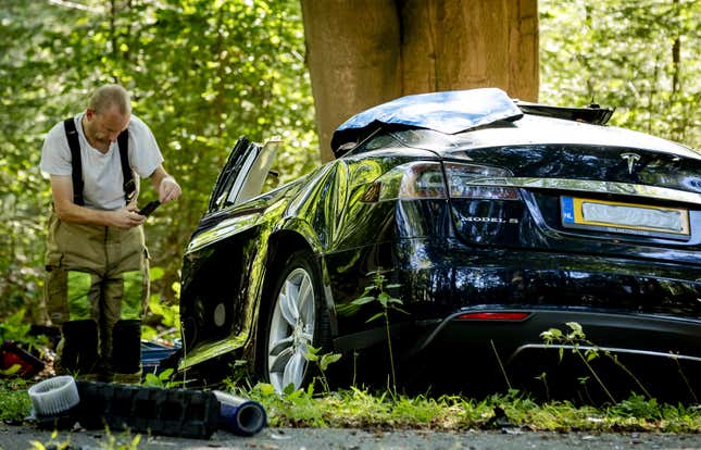 Image for article titled Germany Is The Latest Country Investigating The Safety Of Tesla's Autopilot