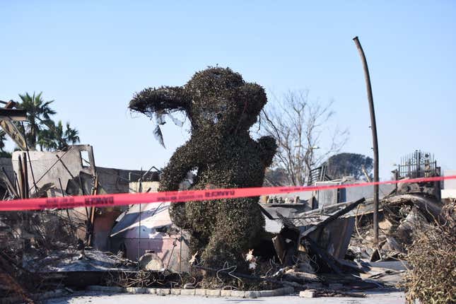 Caution tape is seen in front of the scorched Bunny Museum after the Eaton fire on January 11, 2025 in Altadena, Los Angeles, California. 