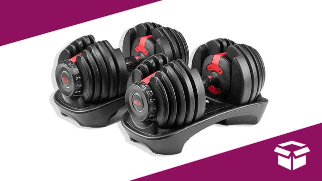 Conquer Your Workouts With These Bowflex SelectTech Adjustable Dumbbells, 27% Off