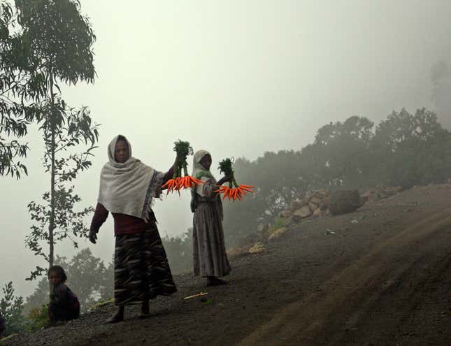 Internet shutdowns have crippled online businesses in Tigray