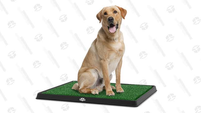 PETMAKER Artificial Grass Puppy Pad | $23 | Amazon 