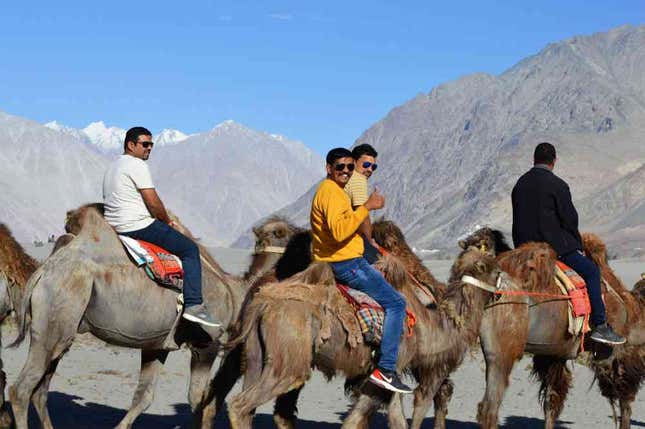 Tourists enjoying the camel safari.