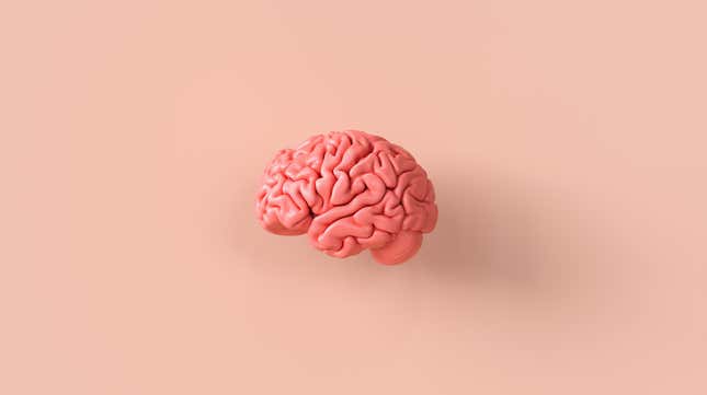 Image for article titled Good News Everyone: We Found a New Species of Roundworm That Can Infect Our Brains