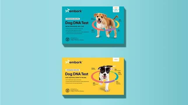 Save 20% on an Embark Pet DNA Test To Get To Know Your Pup Better