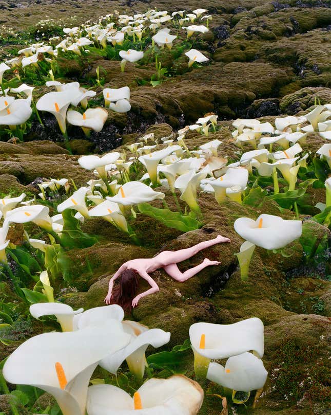 A woman lying face down in the grass surrounded by large fake flowers.