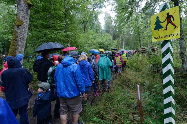 FILE - People take part in a protest against large-scale government logging in the Bialowieza Forest, Poland, Sunday, Aug. 13, 2017. European Union institutions and conservationists on Friday, Nov. 10, 2023 gave a conditional and guarded welcome to a major plan to better protect nature and fight climate change in the 27-nation bloc. (AP Photo/Czarek Sokolowski, File)