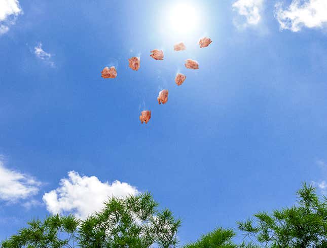 Image for article titled Heatwave Causes Roast Birds To Fall To Earth In Perfect V-Formations