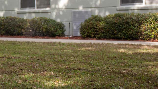 Rasen vor einem Mehrfamilienhaus in Jacksonville, Florida