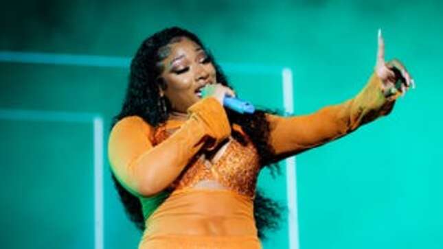 Please Do Not Invoke Megan Thee Stallion on the House Floor