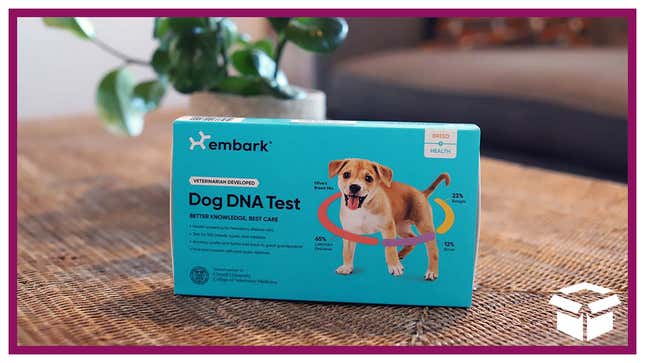 Wonder no more — Embark’s dog DNA tests are the most accurate available.