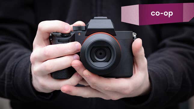 Image for article titled The Five Best Mirrorless Cameras, According to Our Readers