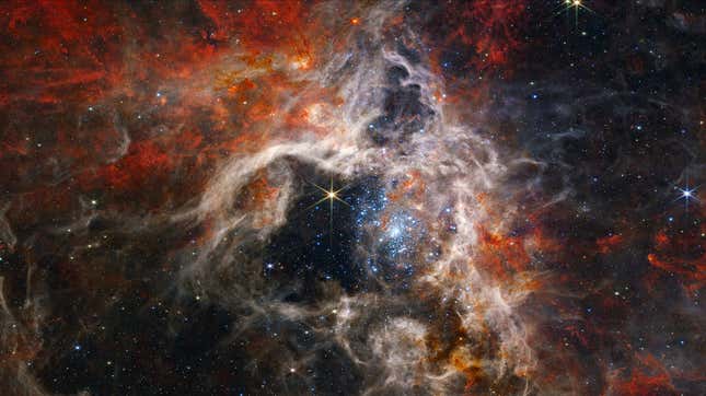 The Tarantula Nebula, as seen by Webb.
