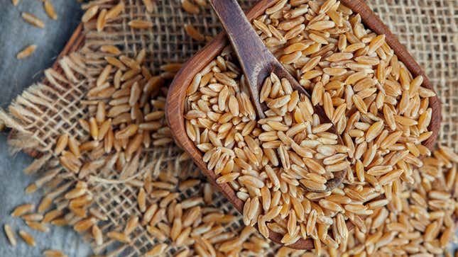 khorasan wheat