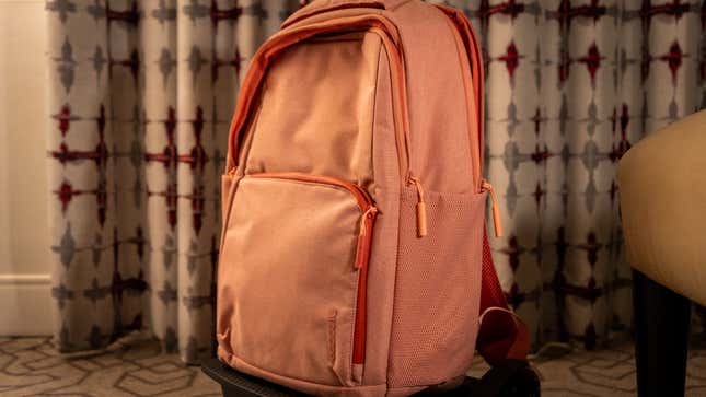 A photo of the backpack 