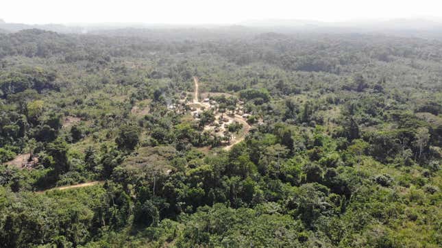 Yarkpa Town stands out in the surrounding rainforest in Rivercess County, Southeast Liberia, Wednesday, March 6, 2024. In the past year, the Liberian government has agreed to sell about 10% of the West African country&#39;s land — equivalent to 10,931 square kilometers (4,220 square miles) — to Dubai-based company Blue Carbon to preserve forests that might otherwise be logged and used for farming, the primary livelihood for many communities. (AP Photo/Derick Snyder)