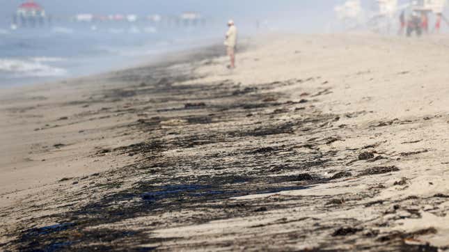 Image for article titled Major Oil Spill Off the Coast of Southern California Has &#39;Dolphins Swimming Thru the Oil&#39;