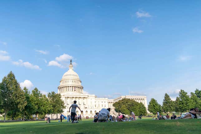 Imagen para el artículo titulado Las 10 ciudades más infestadas de ratas en Estados Unidos