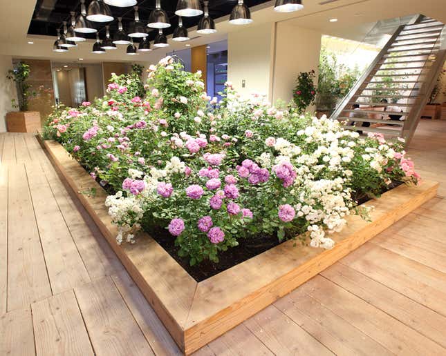 Planners still found room for an abundant variety of flowers